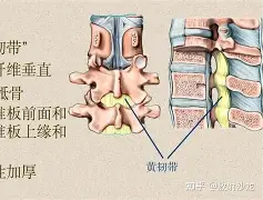 塔图姆“开门红”结果意外的简单介绍