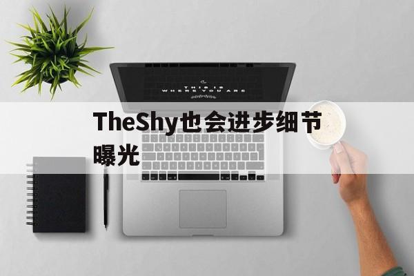 TheShy也会进步细节曝光的简单介绍